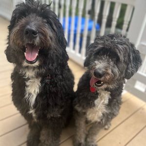 Meet your Posher, Shannon